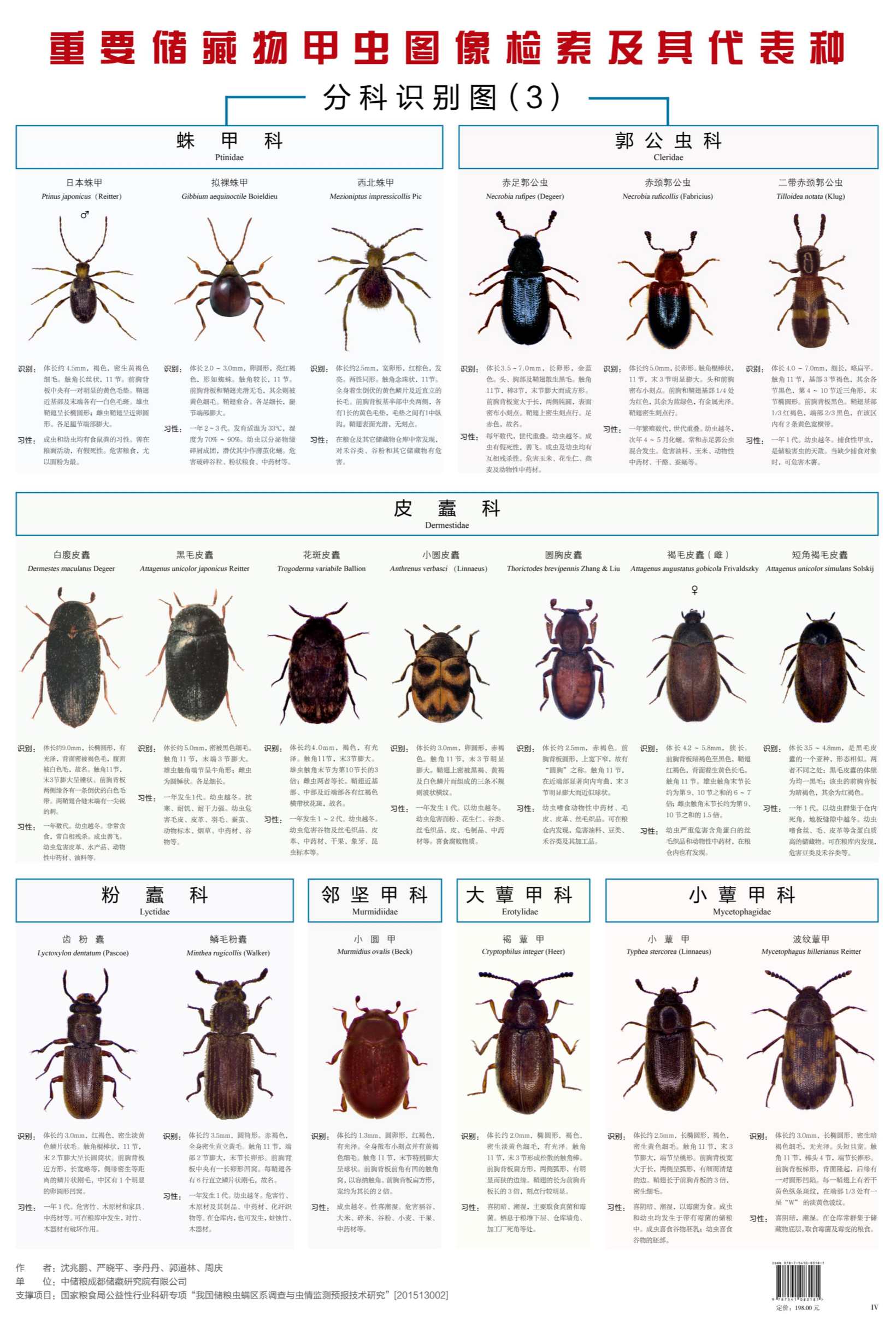 图文 《重要储藏物甲虫图像检索及其代表种》图谱_4_副本.jpg