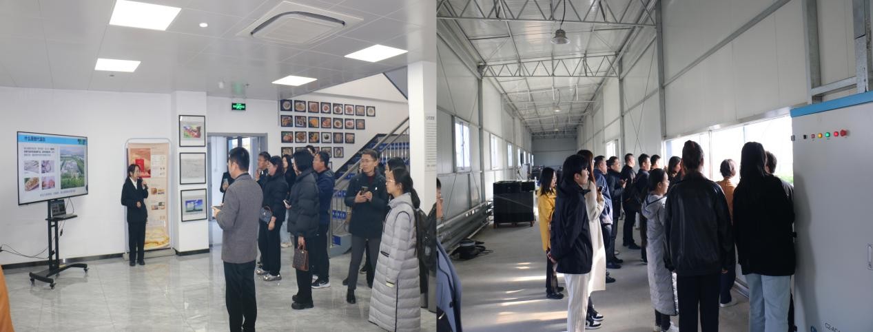 图片 3.jpg