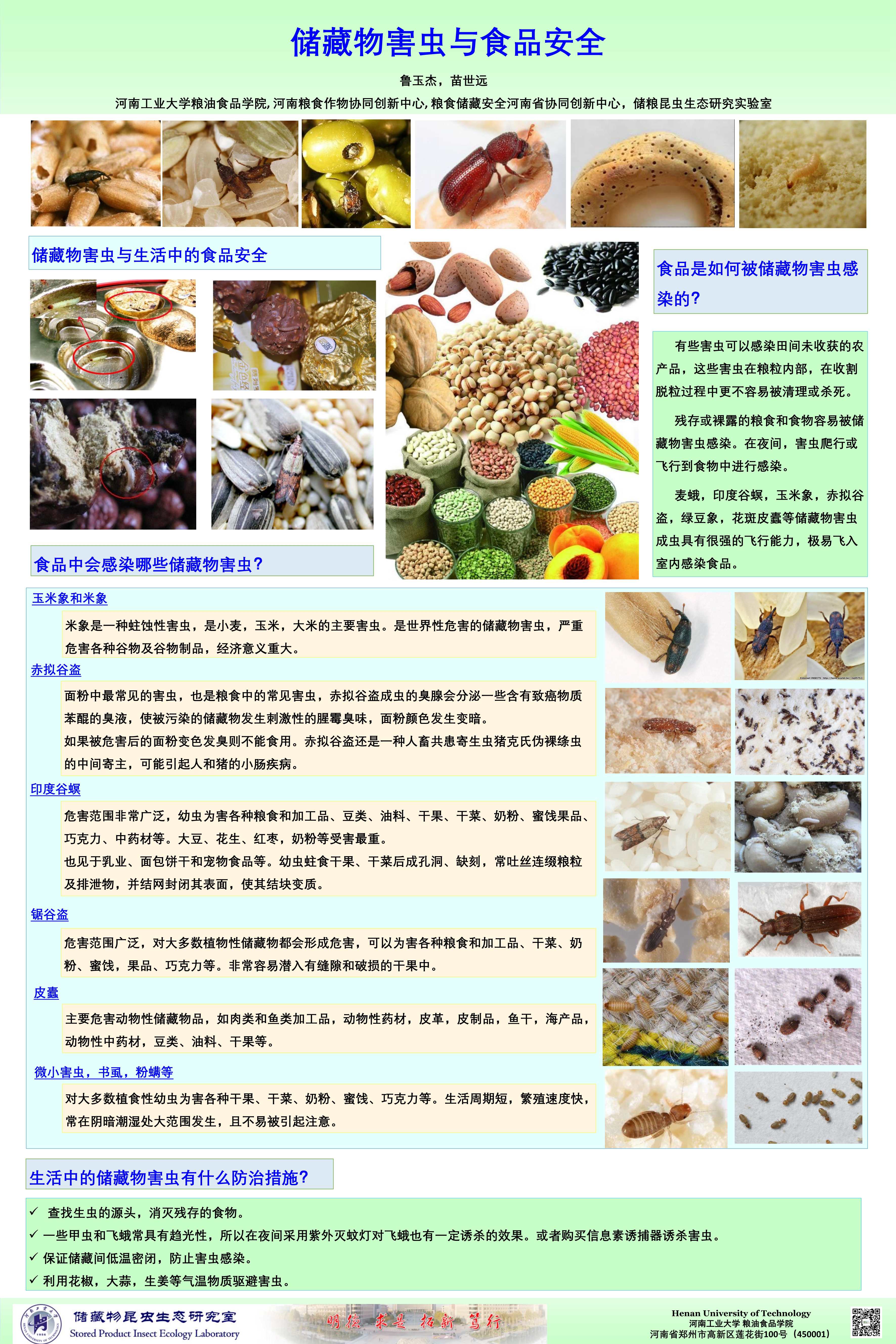 图文 储藏物害虫与食品安全_2_副本.jpg