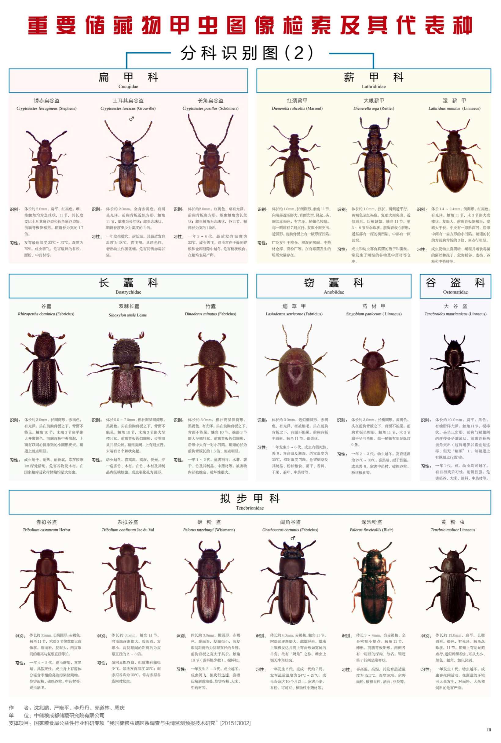 图文 《重要储藏物甲虫图像检索及其代表种》图谱_3_副本.jpg